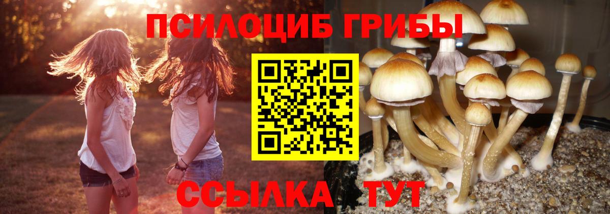 Псилоцибиновые грибы GOLDEN TEACHER  Псилоцибиновые грибы Psilocybine cubensis  Вход с VPN  Арзамас 